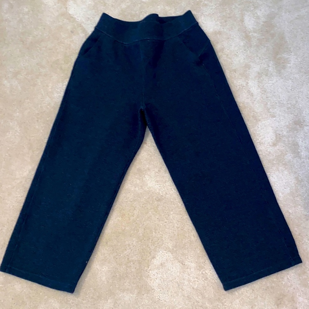 New, never worn Athleta sz 10 cropped wide leg pants. Excellent condition.